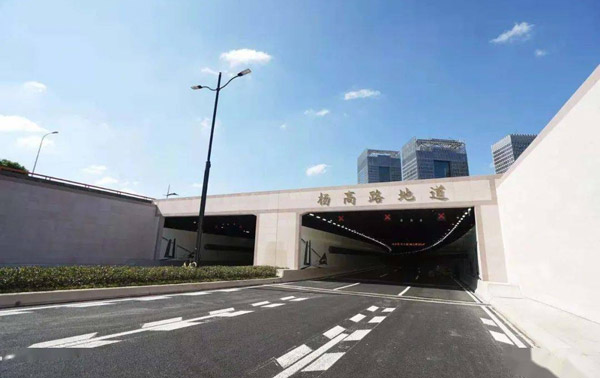 上海杨高路道路改建项目